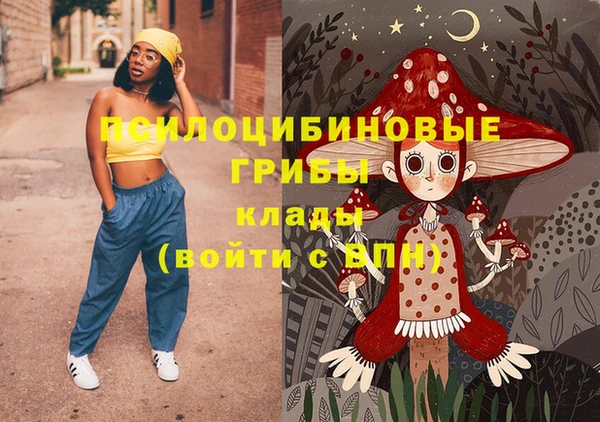 ГАЛЛЮЦИНОГЕННЫЕ ГРИБЫ Карпинск